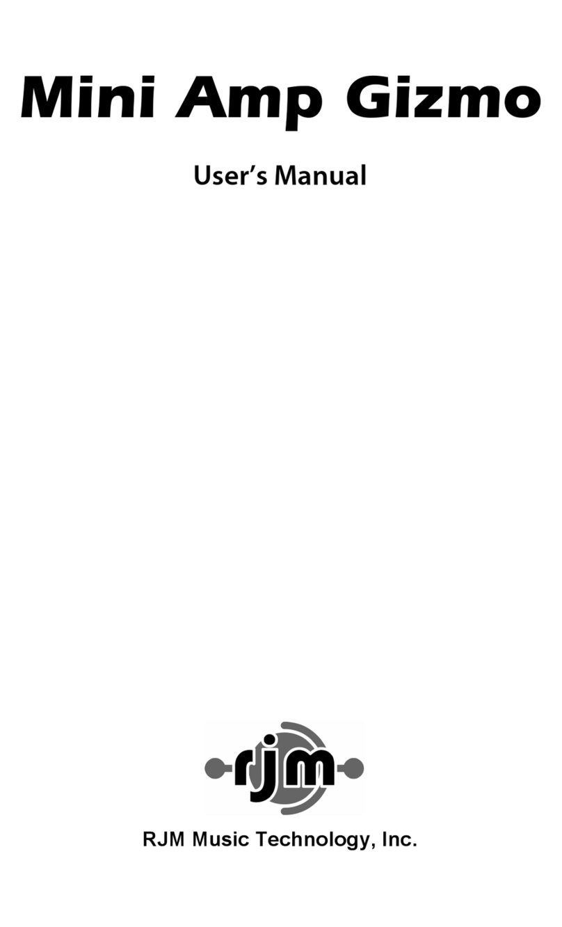 RJM Mini Amp Gizmo user manual