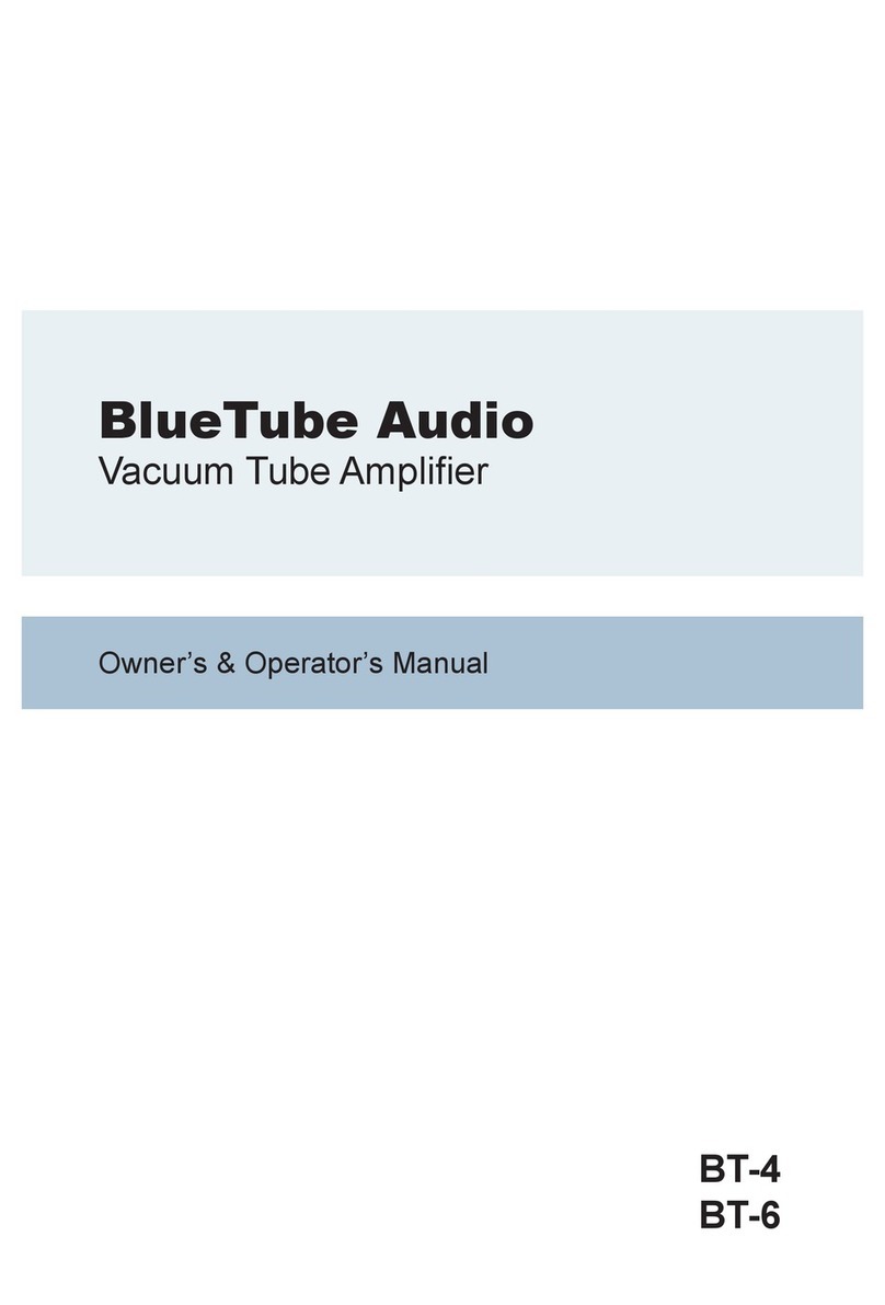 BlueTube Audio BT-4 Owner's/operator's manual