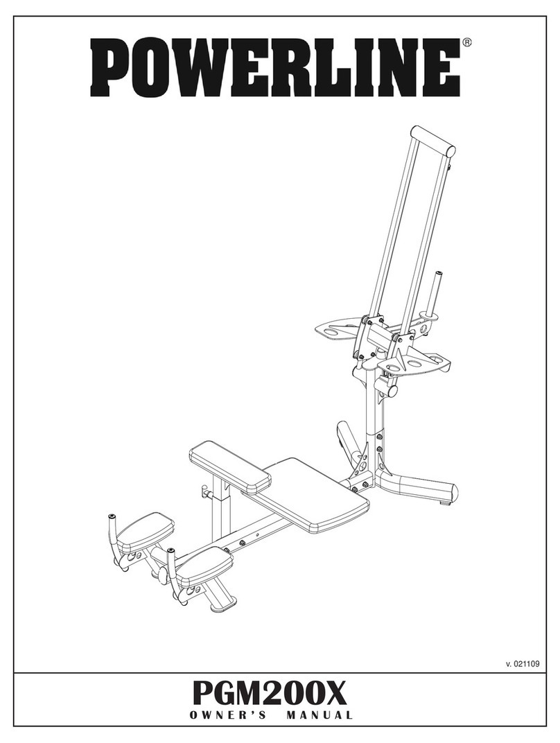 Powerline PGM200X owner's manual