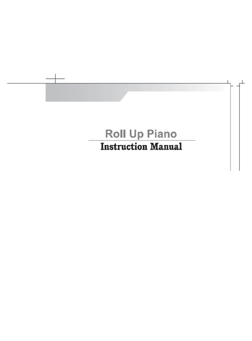 Mark Feldstein & Associates Roll Up Piano User manual