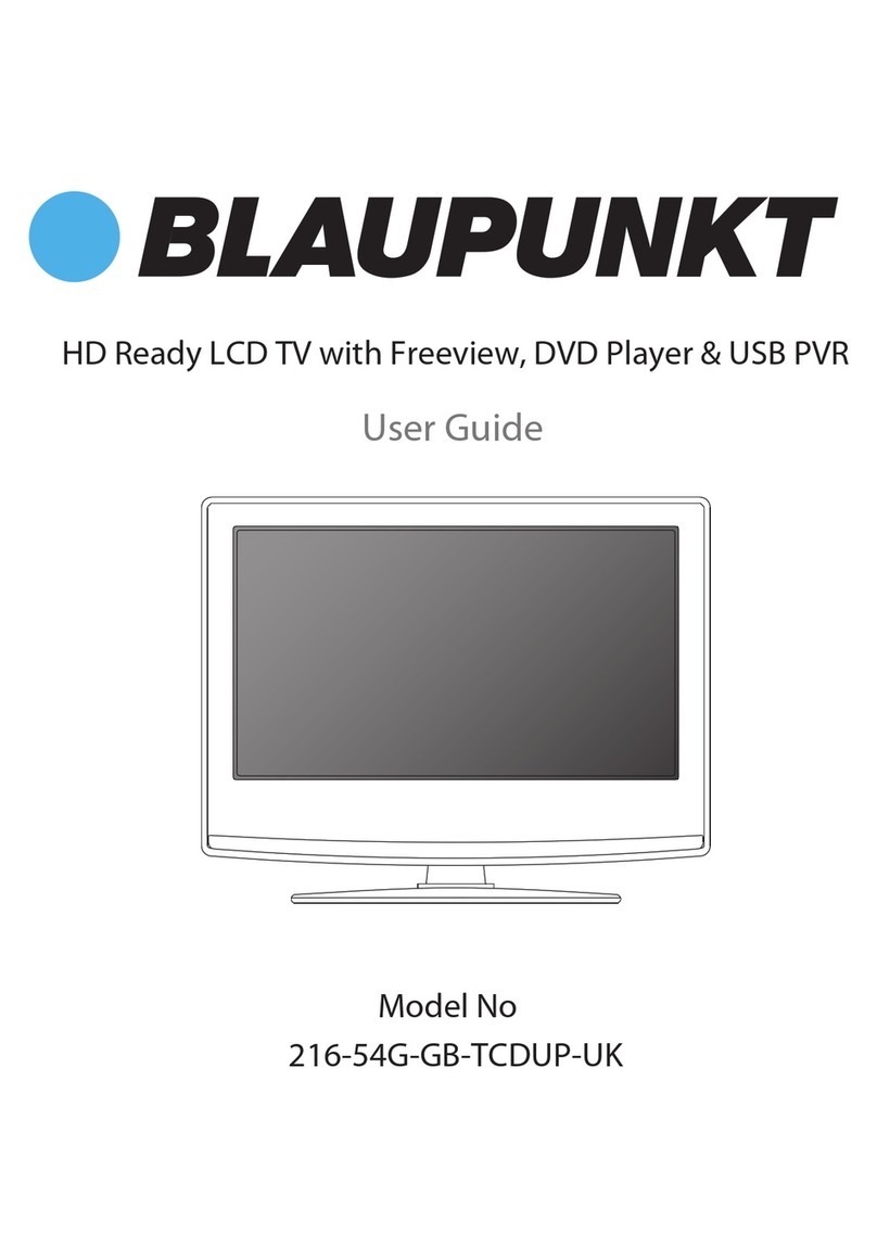 Blaupunkt 216-54G-GB-TCDUP-UK user guide
