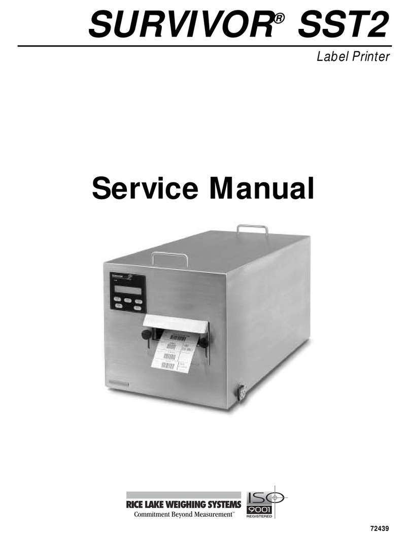 Rice Lake SURVIVOR SST2 Service manual