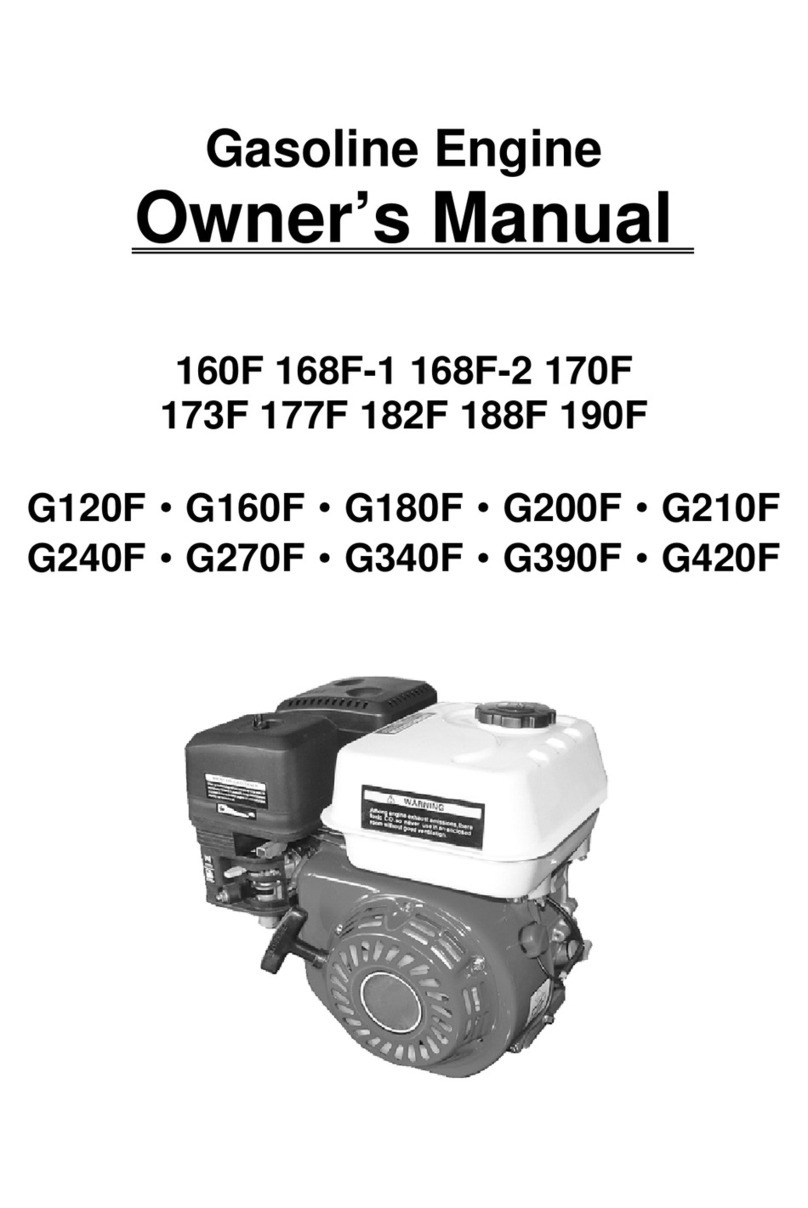 PTM Engines 160F owner's manual