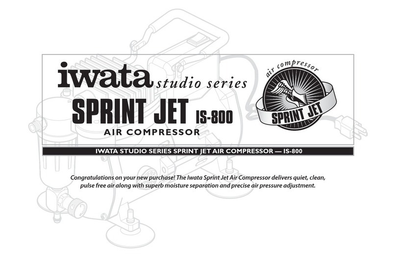 Iwata IS-800 User manual