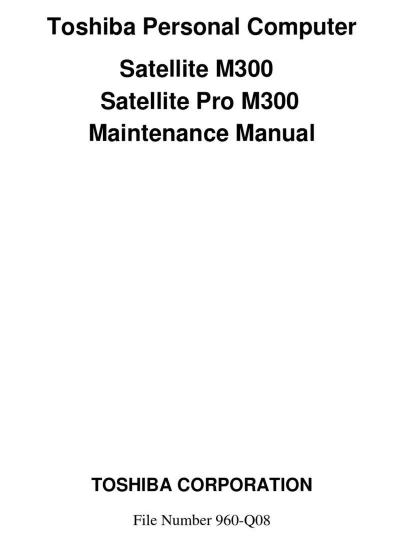 Toshiba Satellite M300 User manual