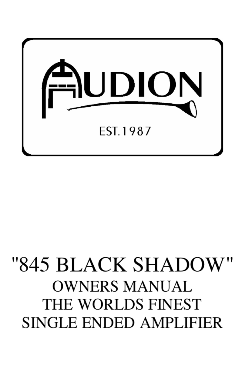 Audion 845 BLACK SHADOW owner's manual