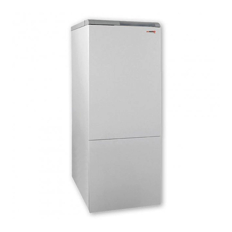 Protherm Bear 20 KLZ Operation and installation guide