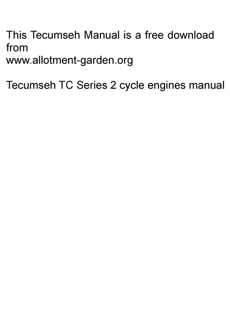 Tecumseh TC 300 Technician's handbook
