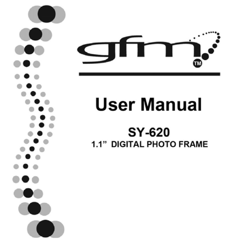 gfm SY-620 user guide