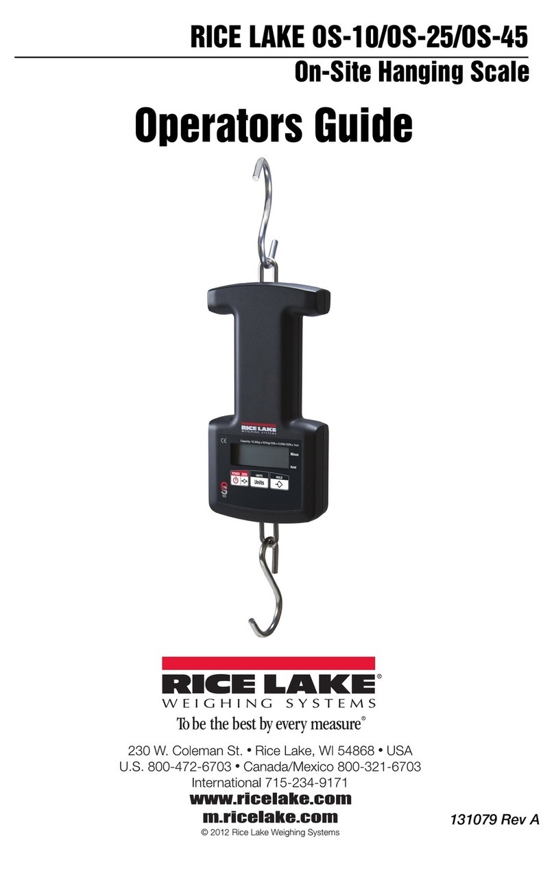 Rice Lake OS-10 Manual