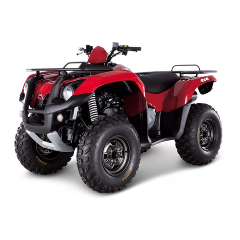 Sym Quad Raider 600 Service manual