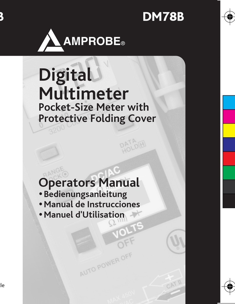 Amprobe DM78B User manual