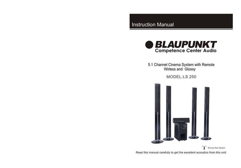 Blaupunkt LS 250 instruction manual