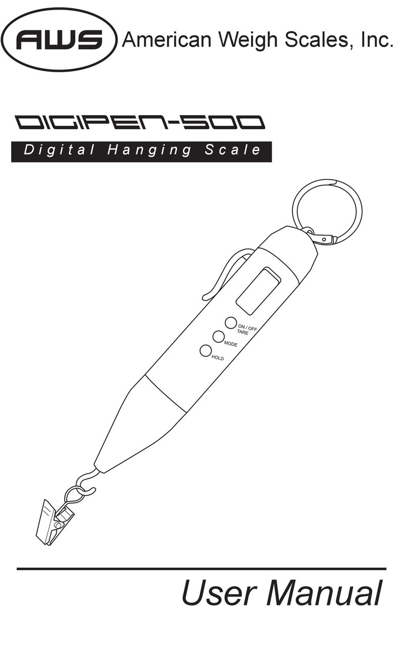 AWS DigiPEN-500 User manual