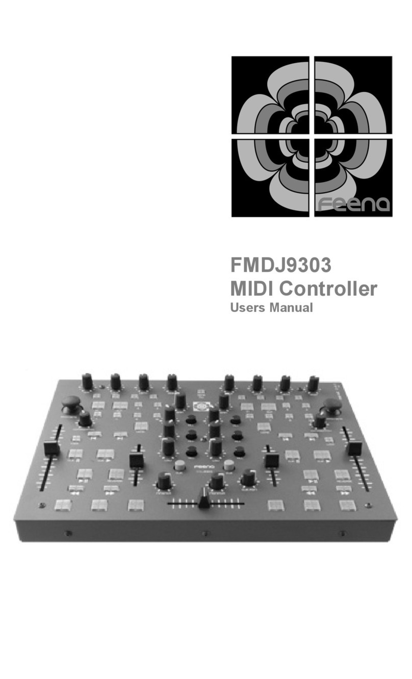 Feena Electronics FMDJ9303 user manual