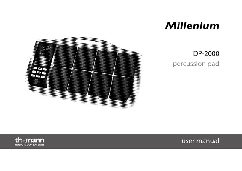 thomann Millenium DP-2000 user manual