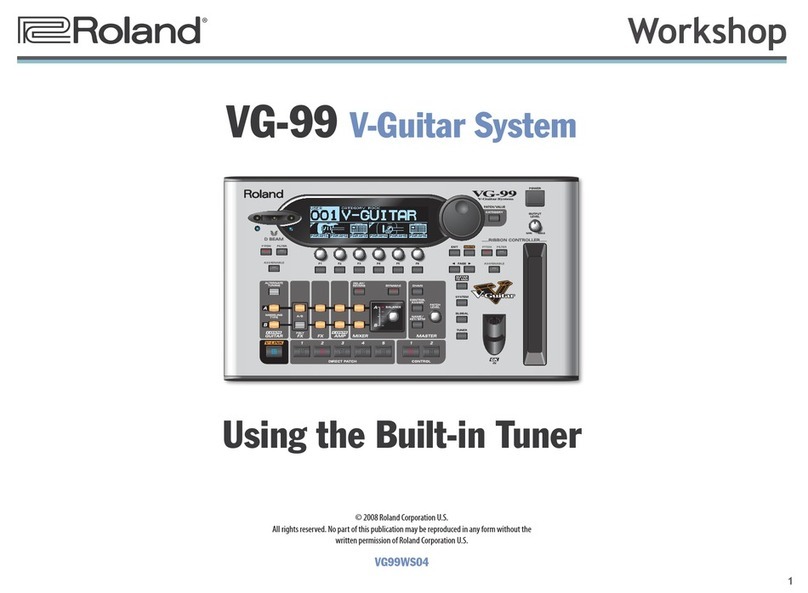 Roland V-Guitar System VG-99 User manual