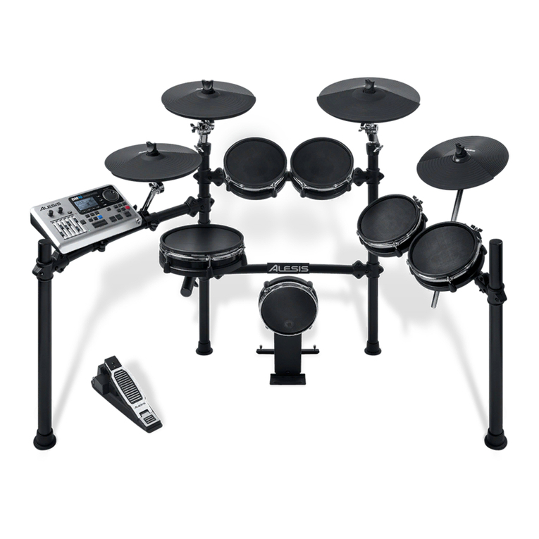 Alesis DM10 MKII Pro User manual