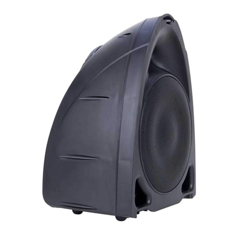 American Audio PPA-210 user manual