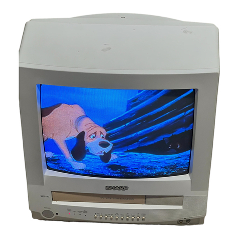 Sharp 13VT-N100 User manual