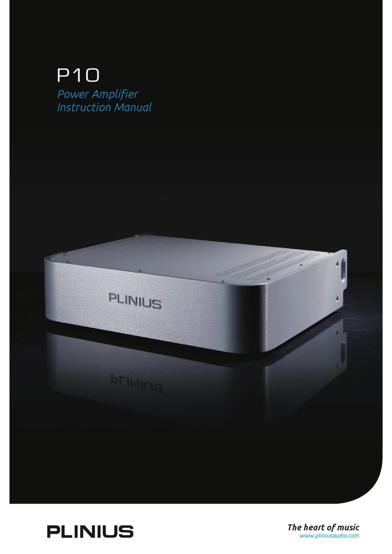 Plinius P10 User manual