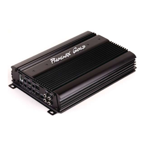 Phoenix Gold S1000.1 manual