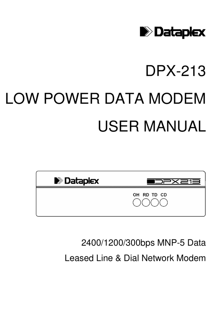 Dataplex DPX-213 user manual