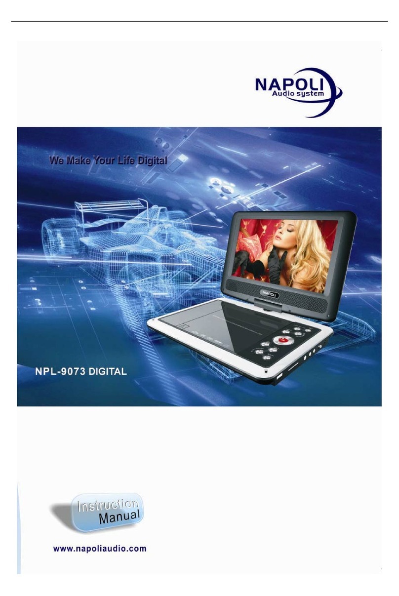 Napoli Audio NPL-9073 instruction manual