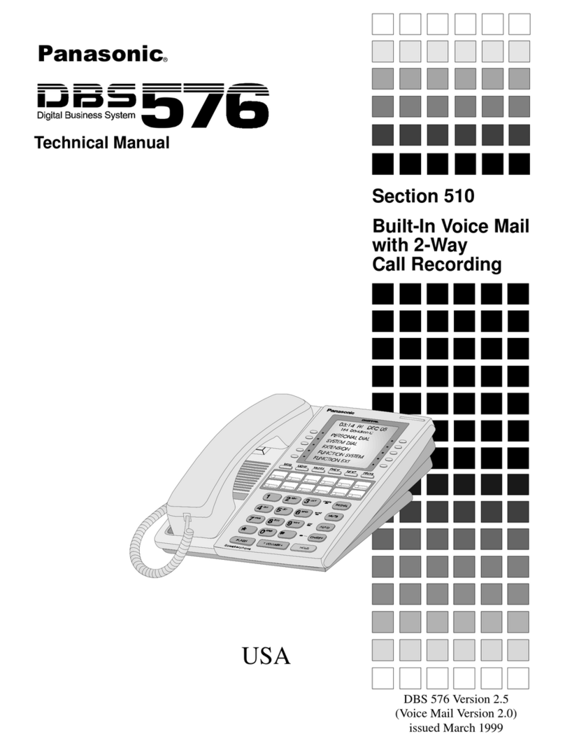Panasonic DBS 576 Section 300 User manual