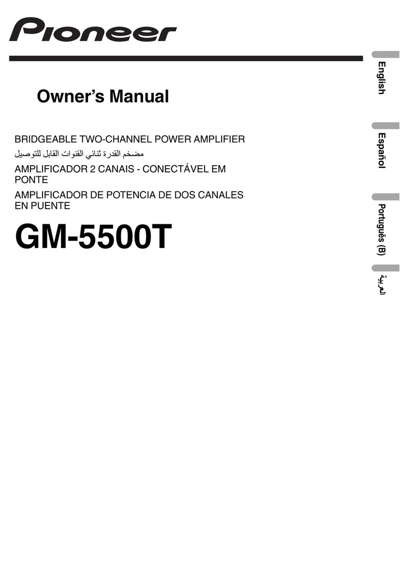 Pioneer GM-5500T owner's manual