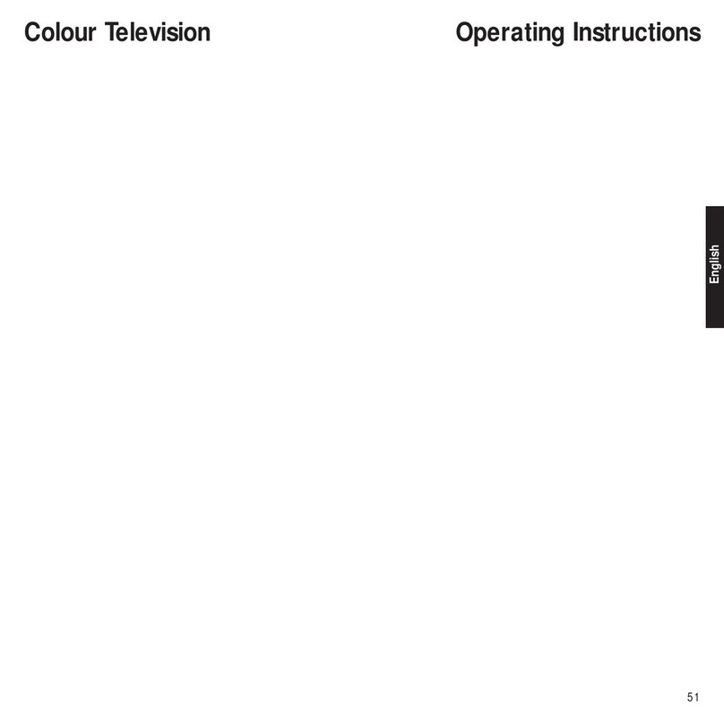 Loewe TV set User manual