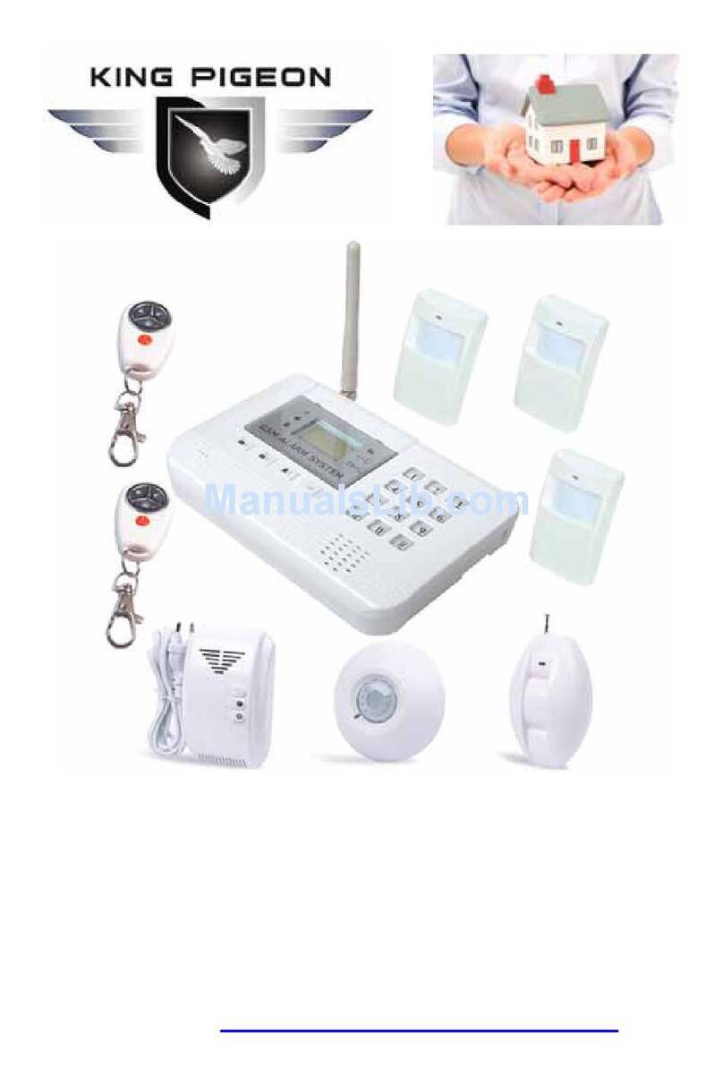 King Pigeon S100 user manual
