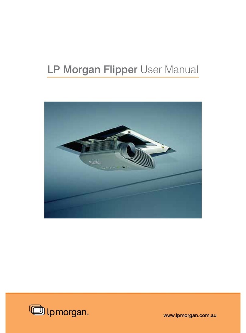 LP Morgan Flipper user manual