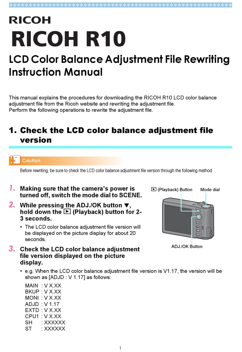Ricoh R10 Programming manual
