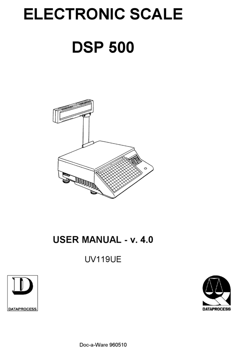 DATAPROCESS DSP 500 User manual