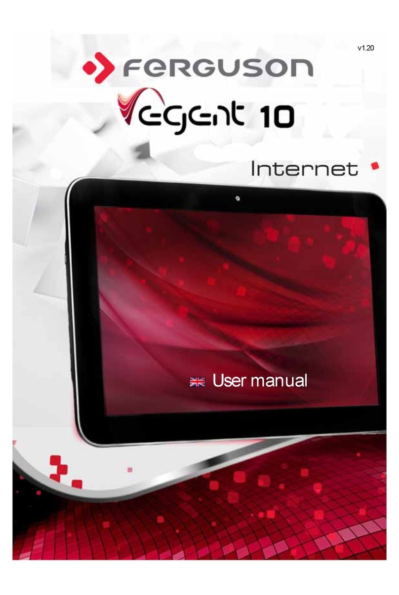 Ferguson egent 10 User manual