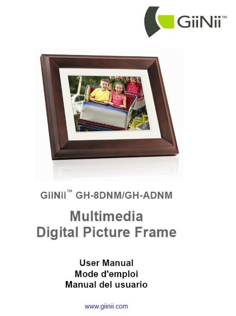 GiiNii GH-8DNM user manual