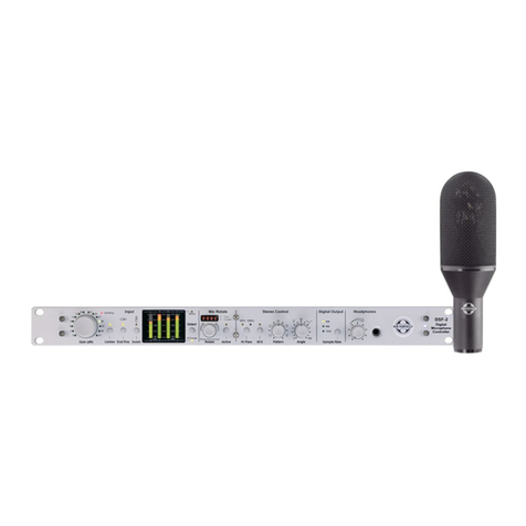 Soundfield DSF-2 MKII user guide