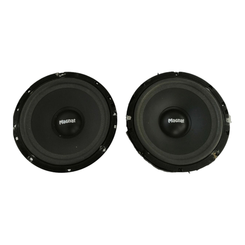 Magnat Audio PROFECTION 216 owner's manual