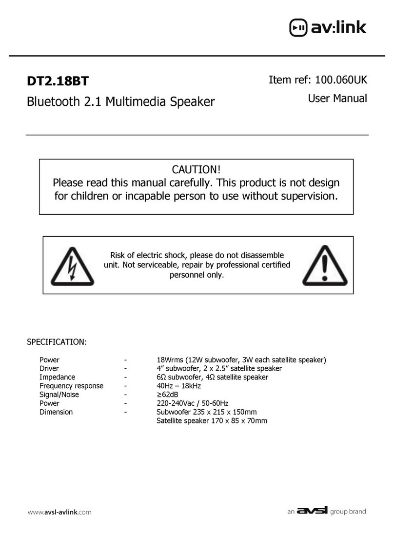 AVLink DT2.18BT user manual