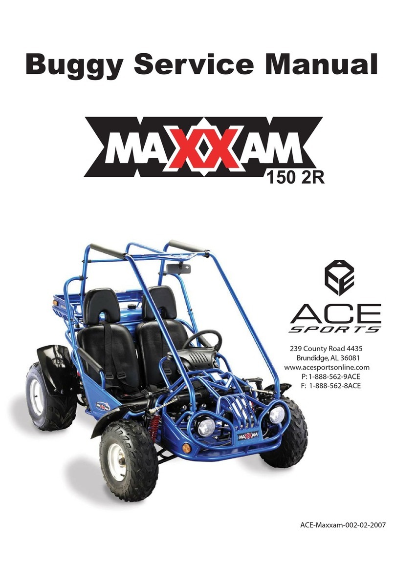 Ace Sports Maxxam 150 2R Service manual