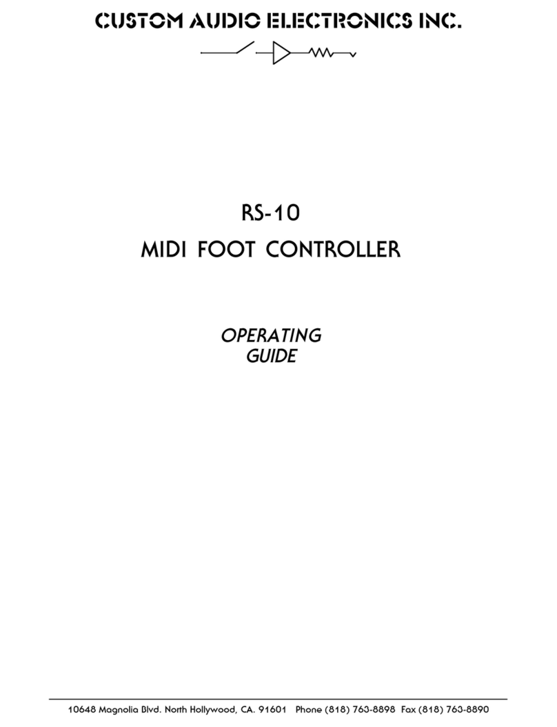 Custom Audio Electronics RS-10 User manual