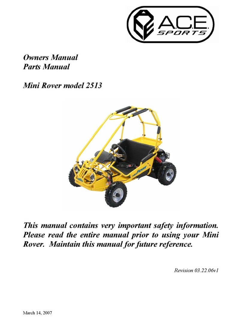 Ace Sports 2513 owner's manual