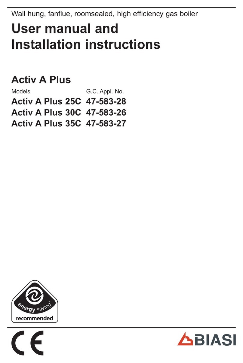 Biasi Activ A Plus 25C User manual Biasi Activ A Plus 25C User manual