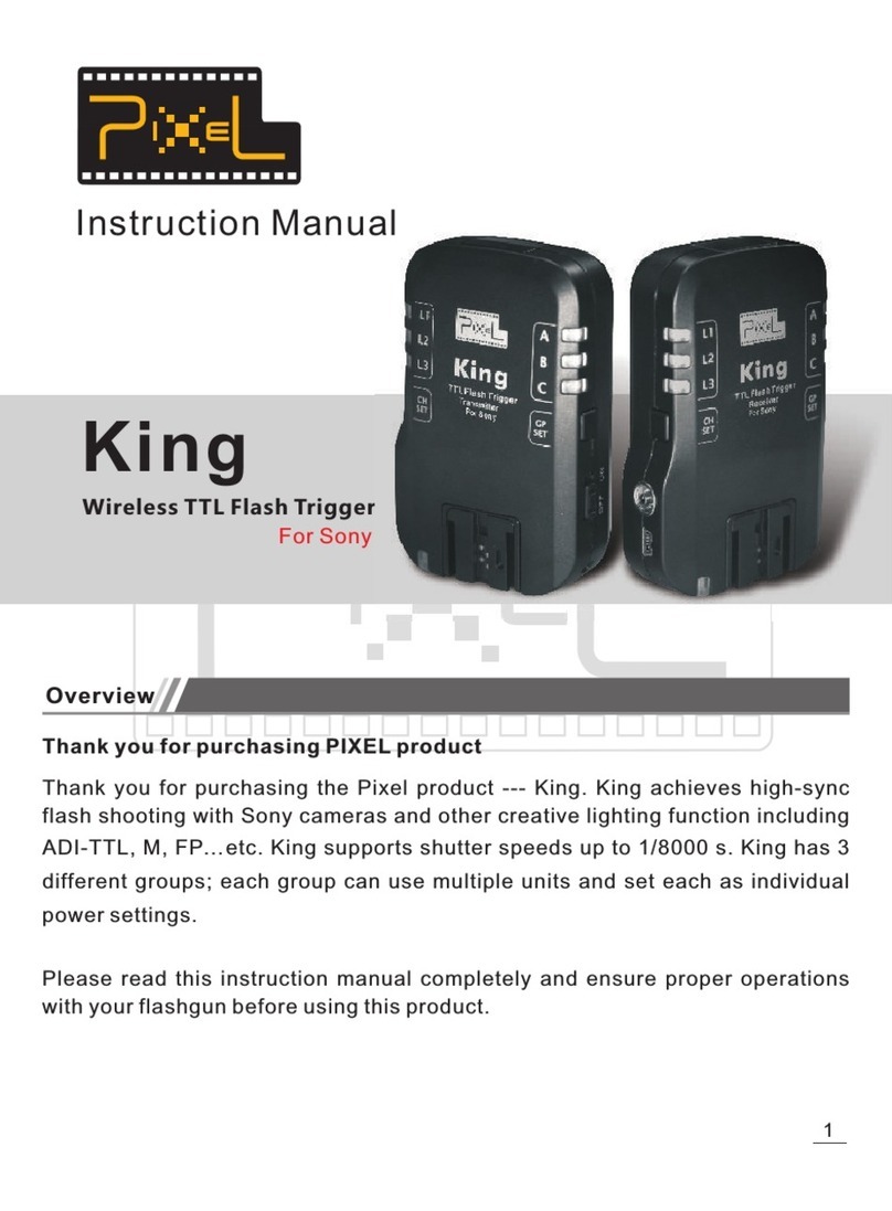 Pixel King instruction manual