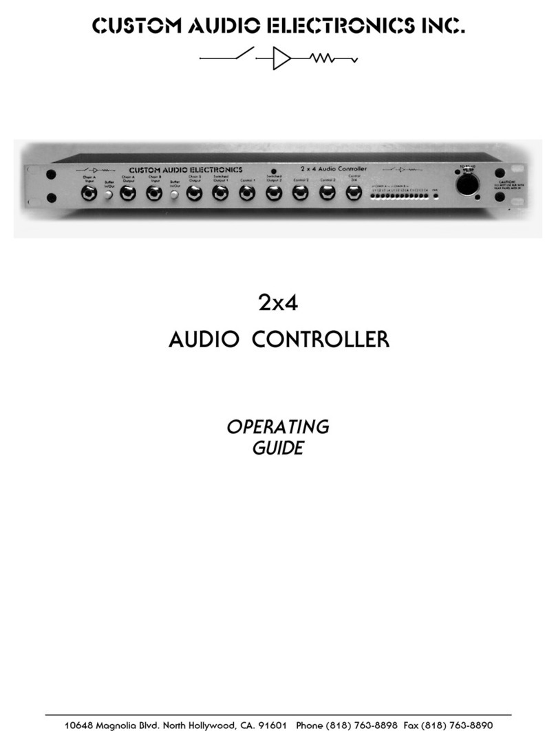 Custom Audio Electronics 2x4 operating guide