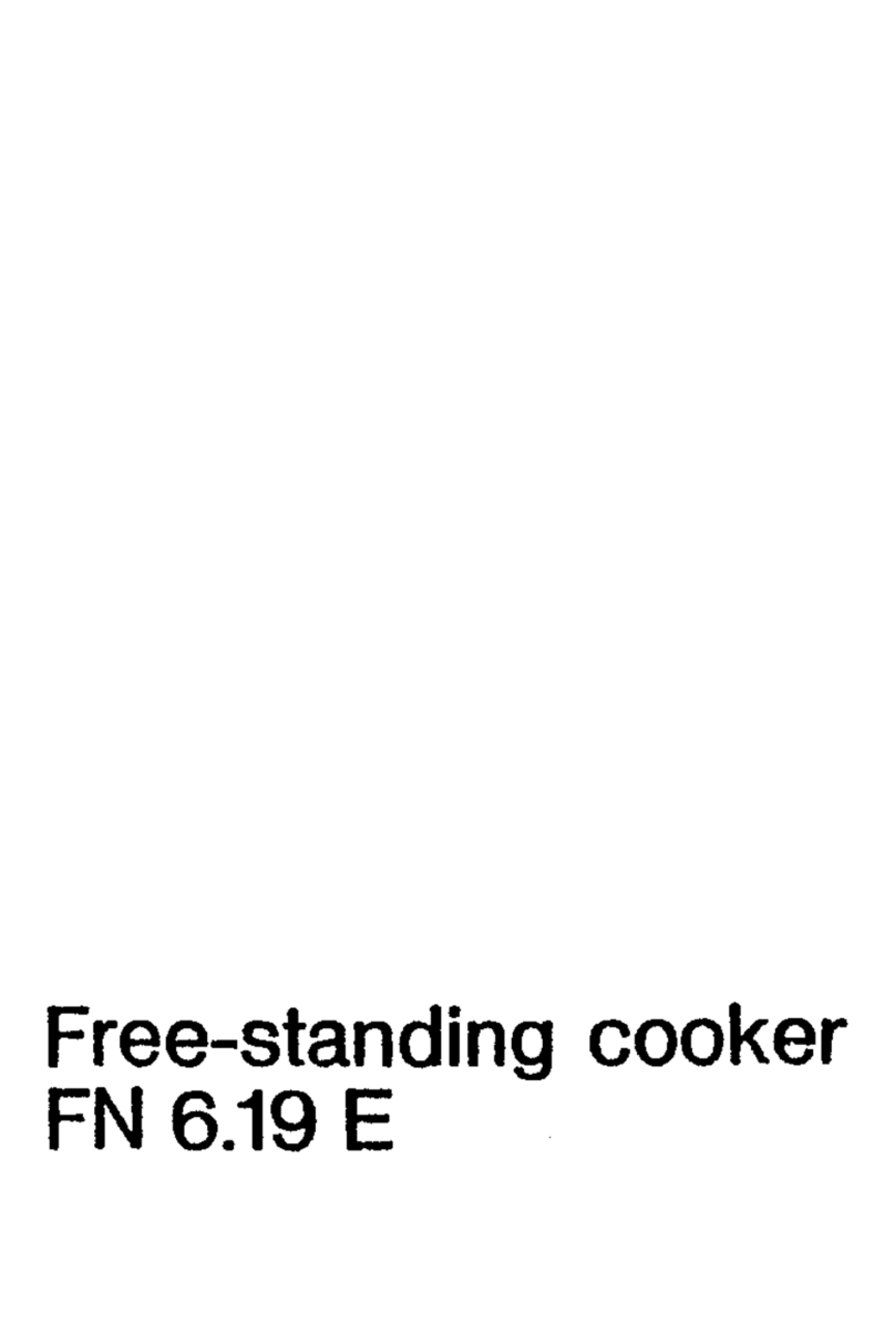 AEG FN 6.19 E User manual