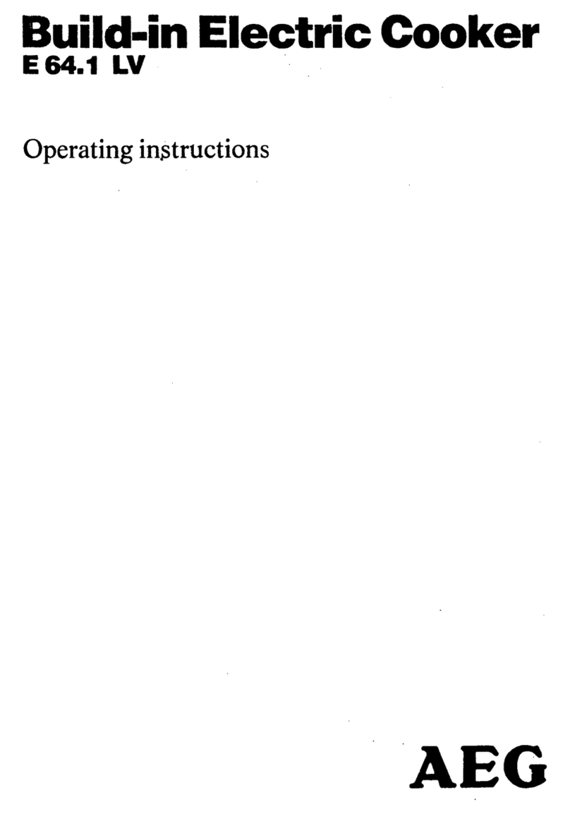 AEG E 64.1 LV User manual