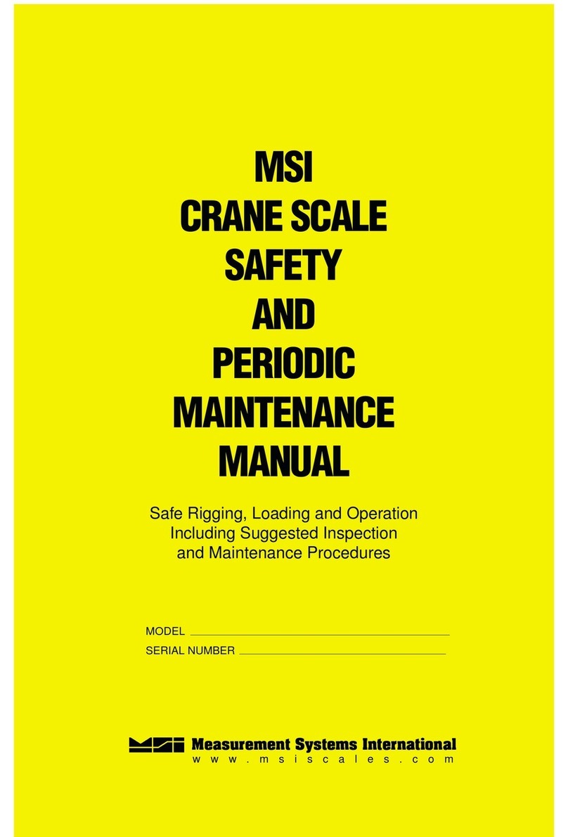 MSI CRANE SCALE User manual