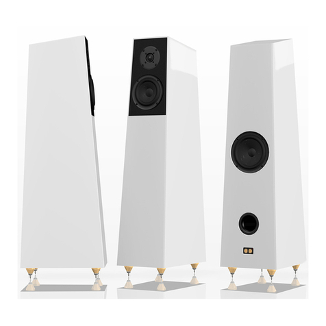 Verity Audio FINN owner's manual